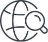 Icon Search Globe